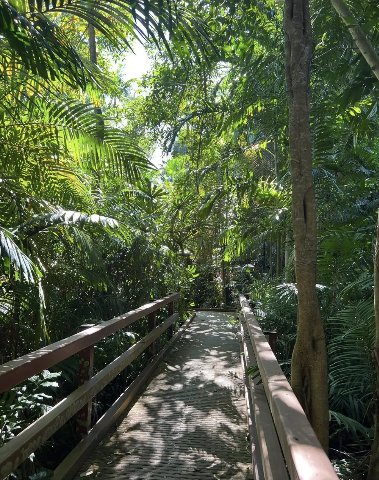 Darwin Botanic Gardens