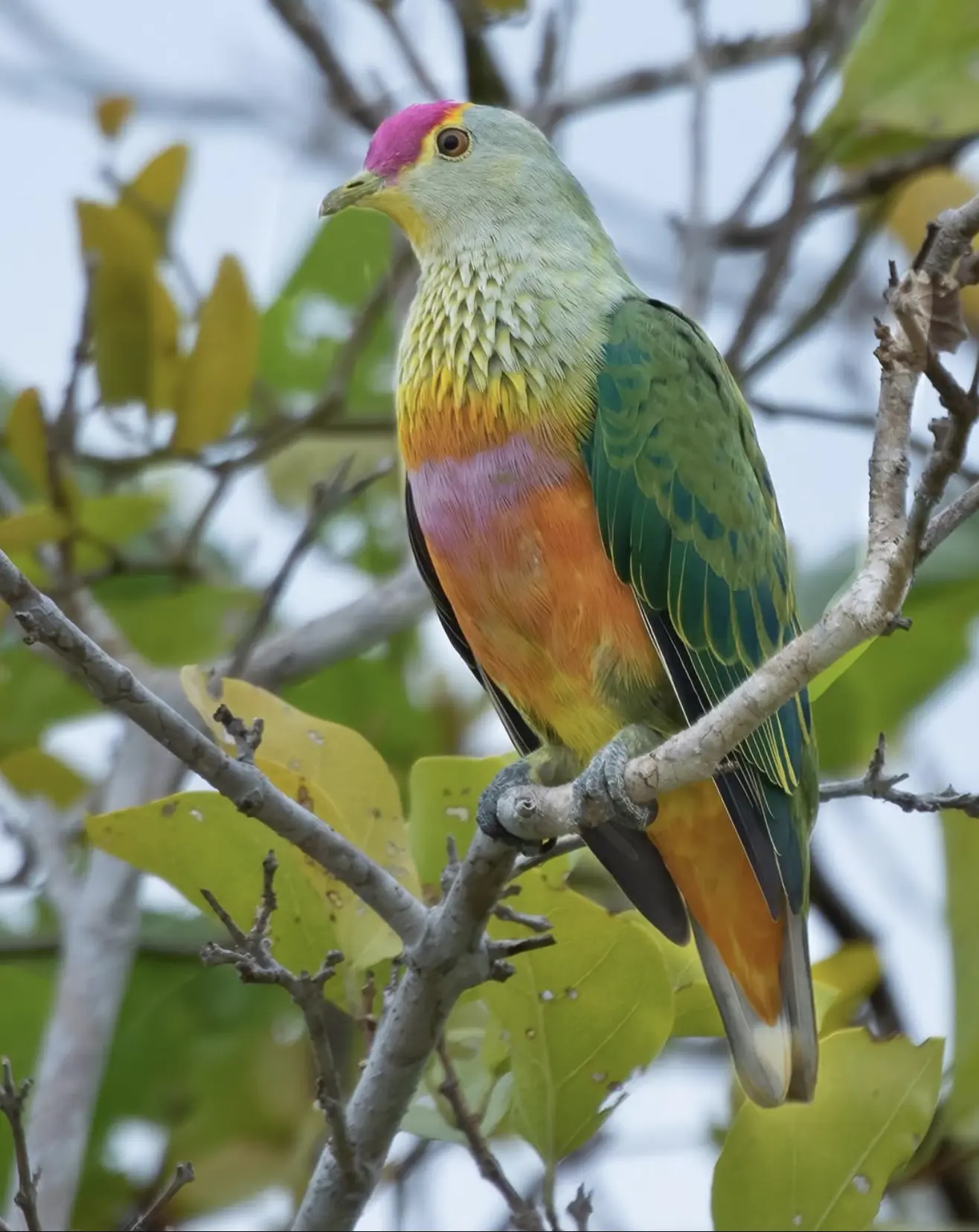 East Point Reserve