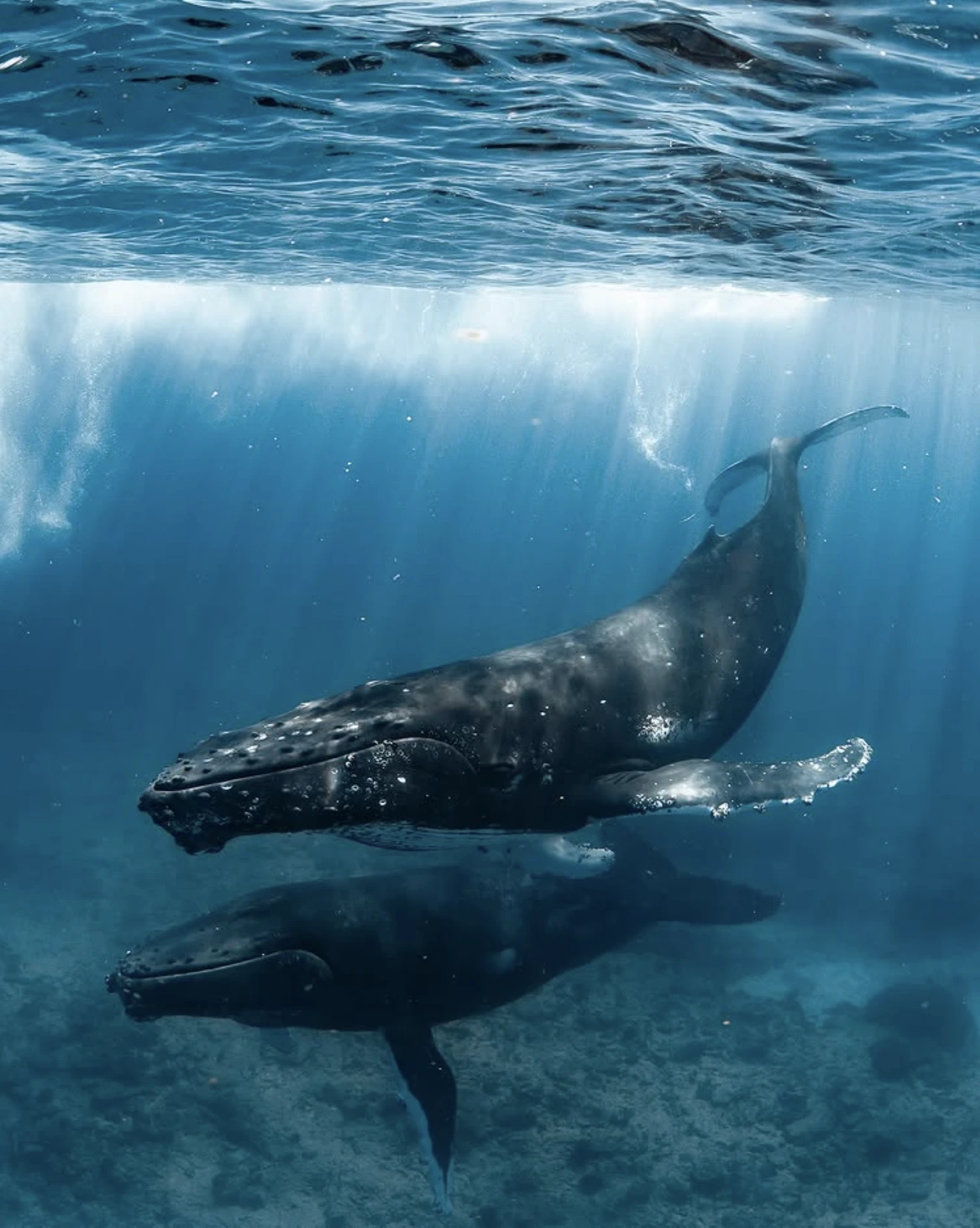 Ningaloo Marine Park