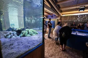 Ocean Park Aquarium