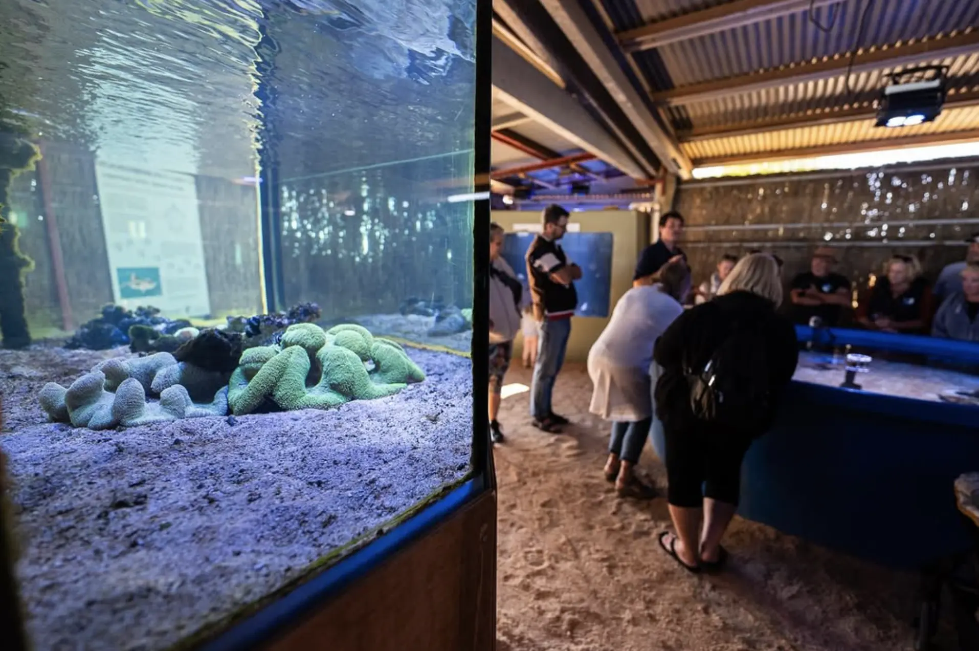 Ocean Park Aquarium – Discover Marine Life Up Close