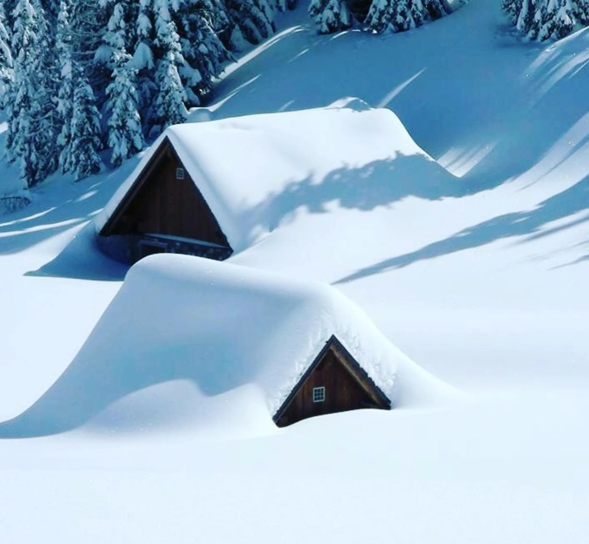accommodation options