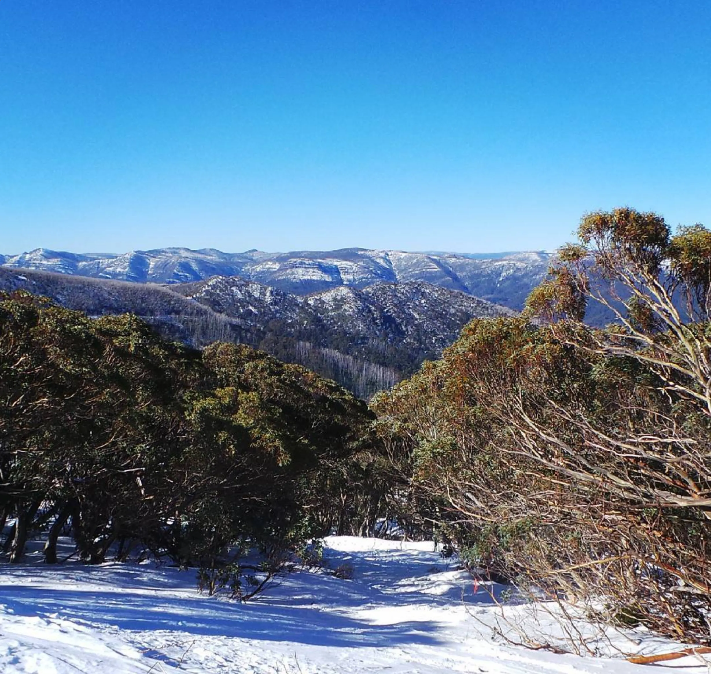 Snow Resort in Victoria