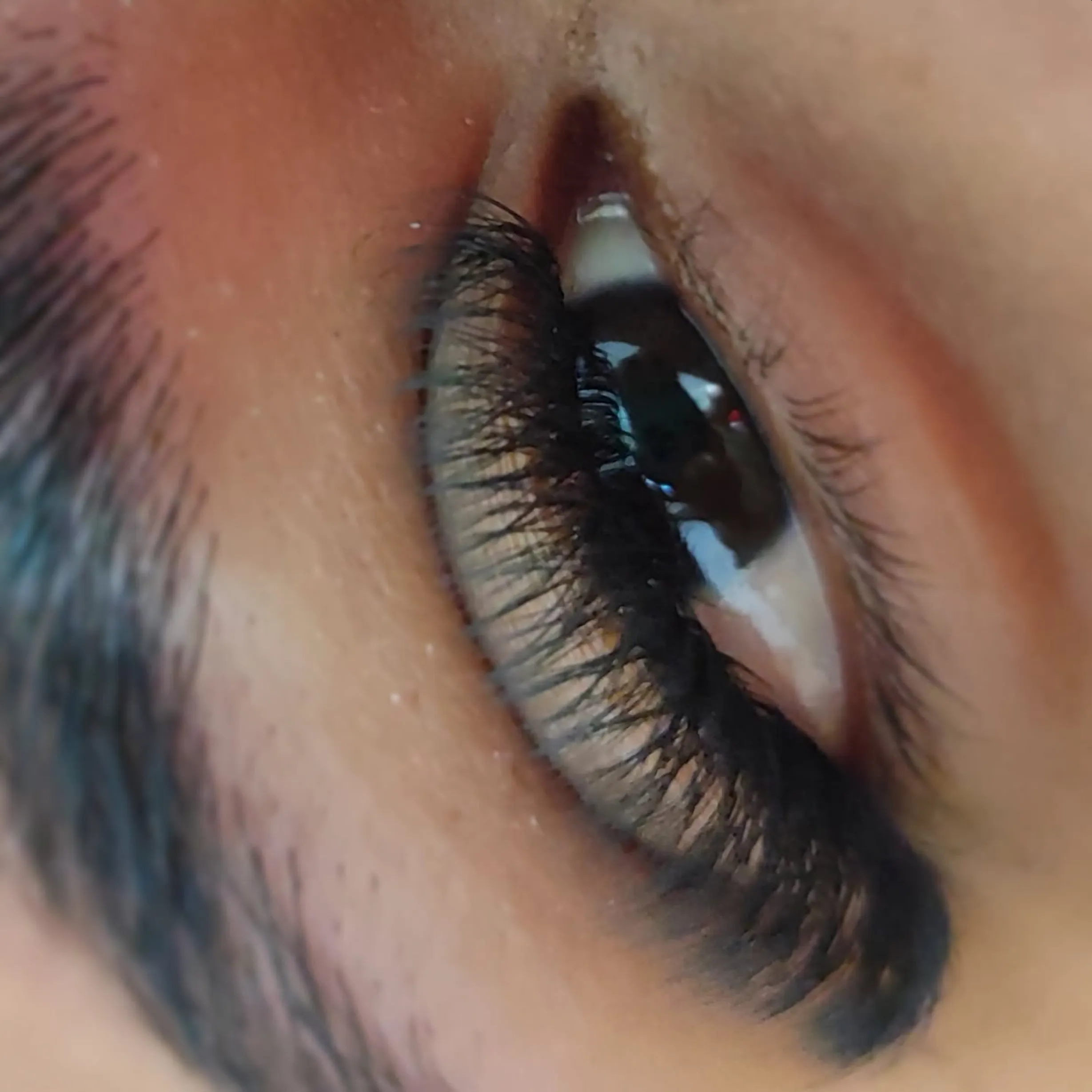 eyebrow tattooing