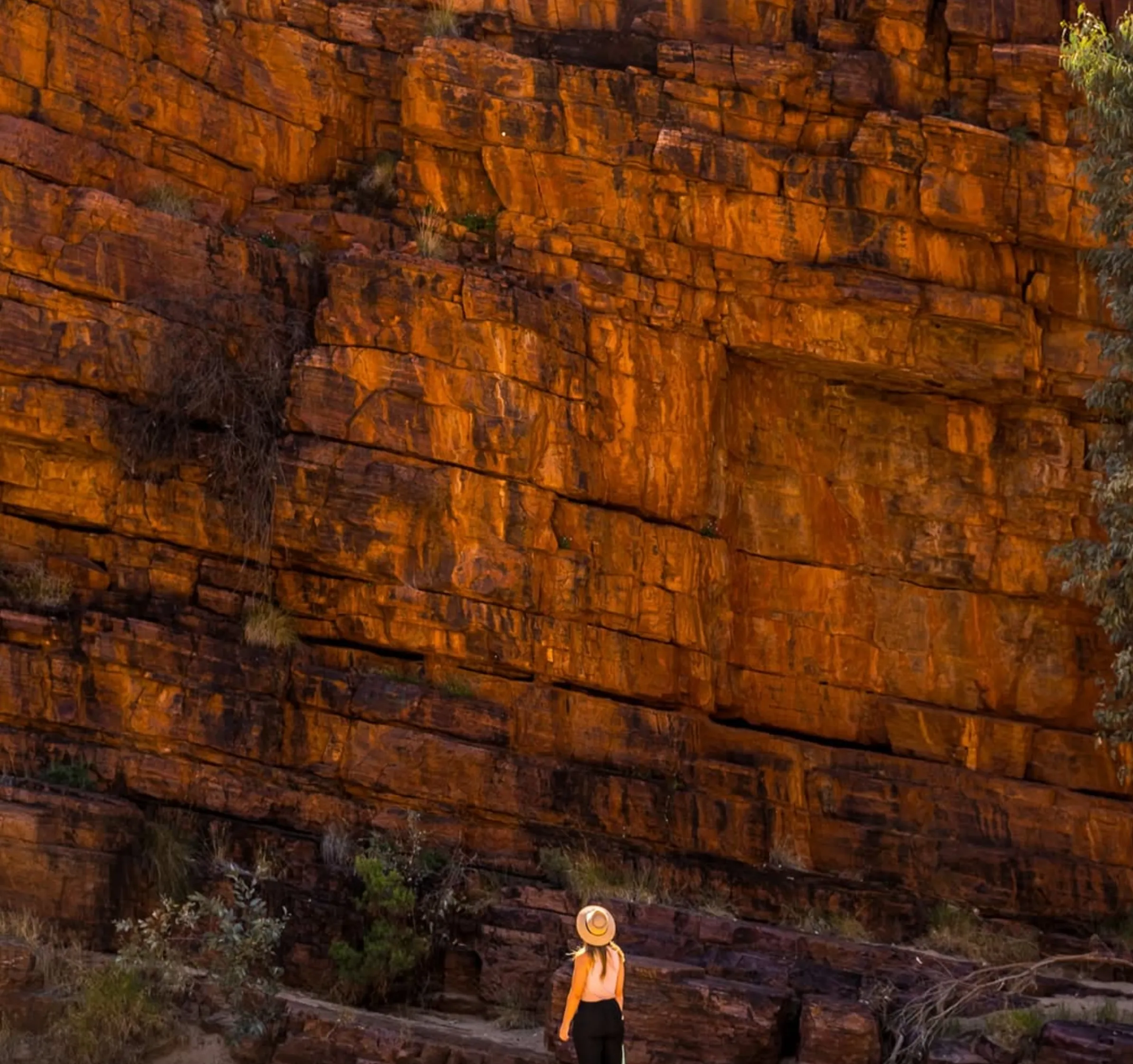 uluru guided base walk