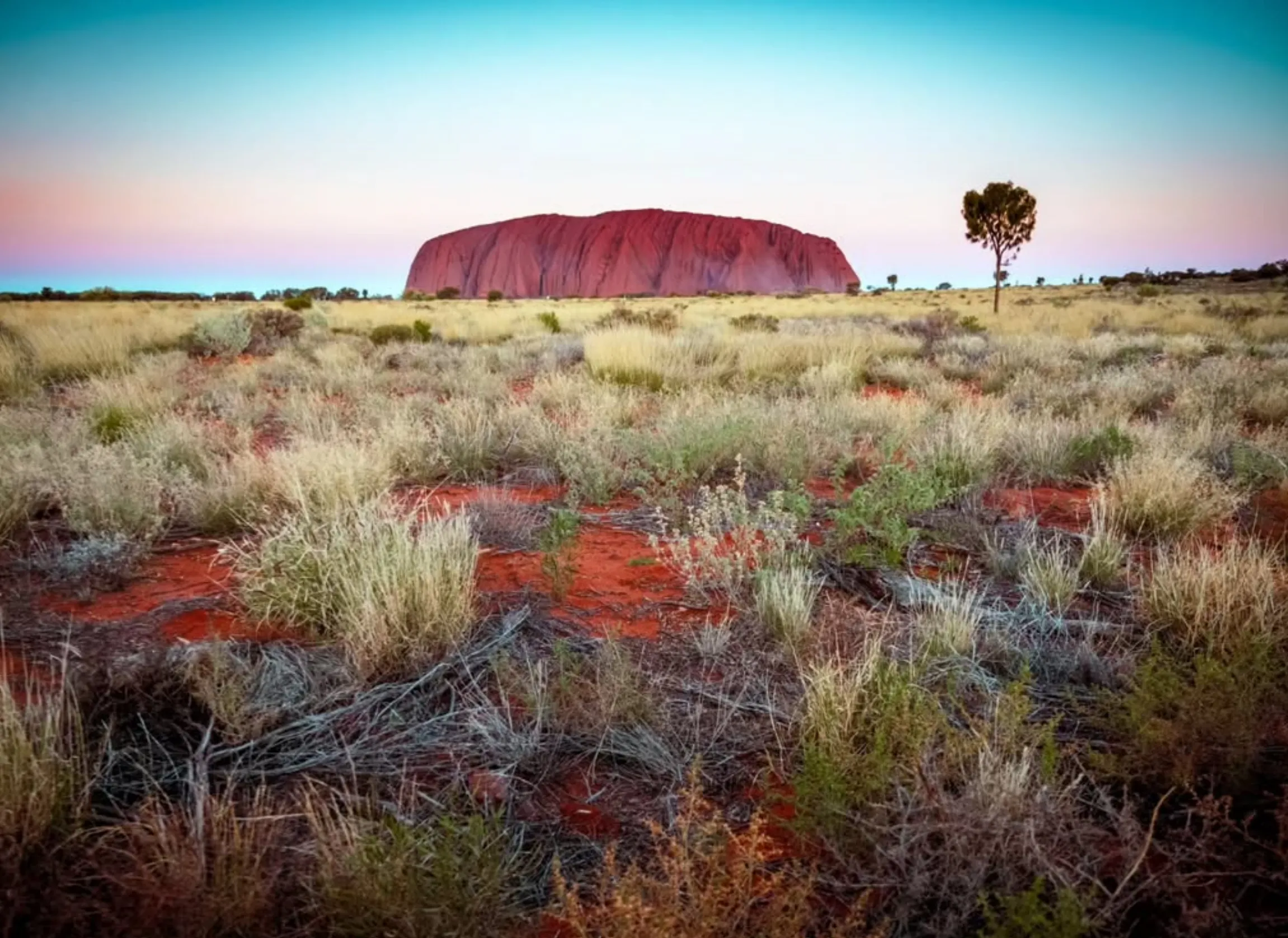 uluru park pass price