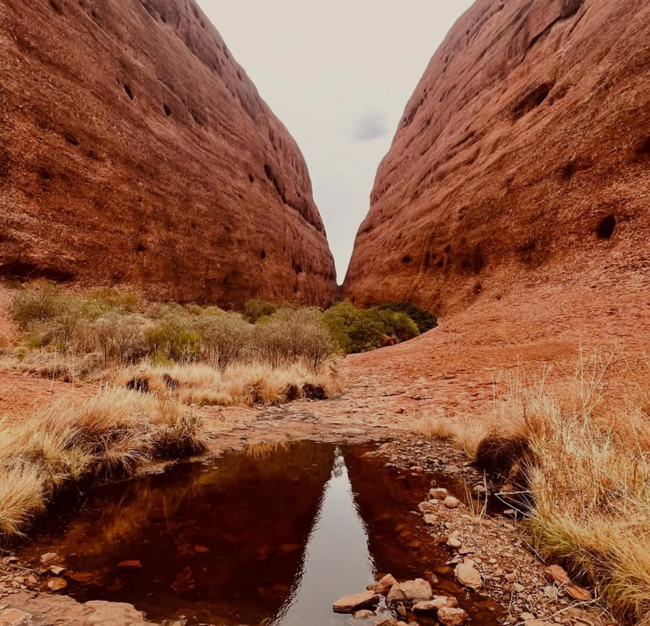 uluru base walk cost