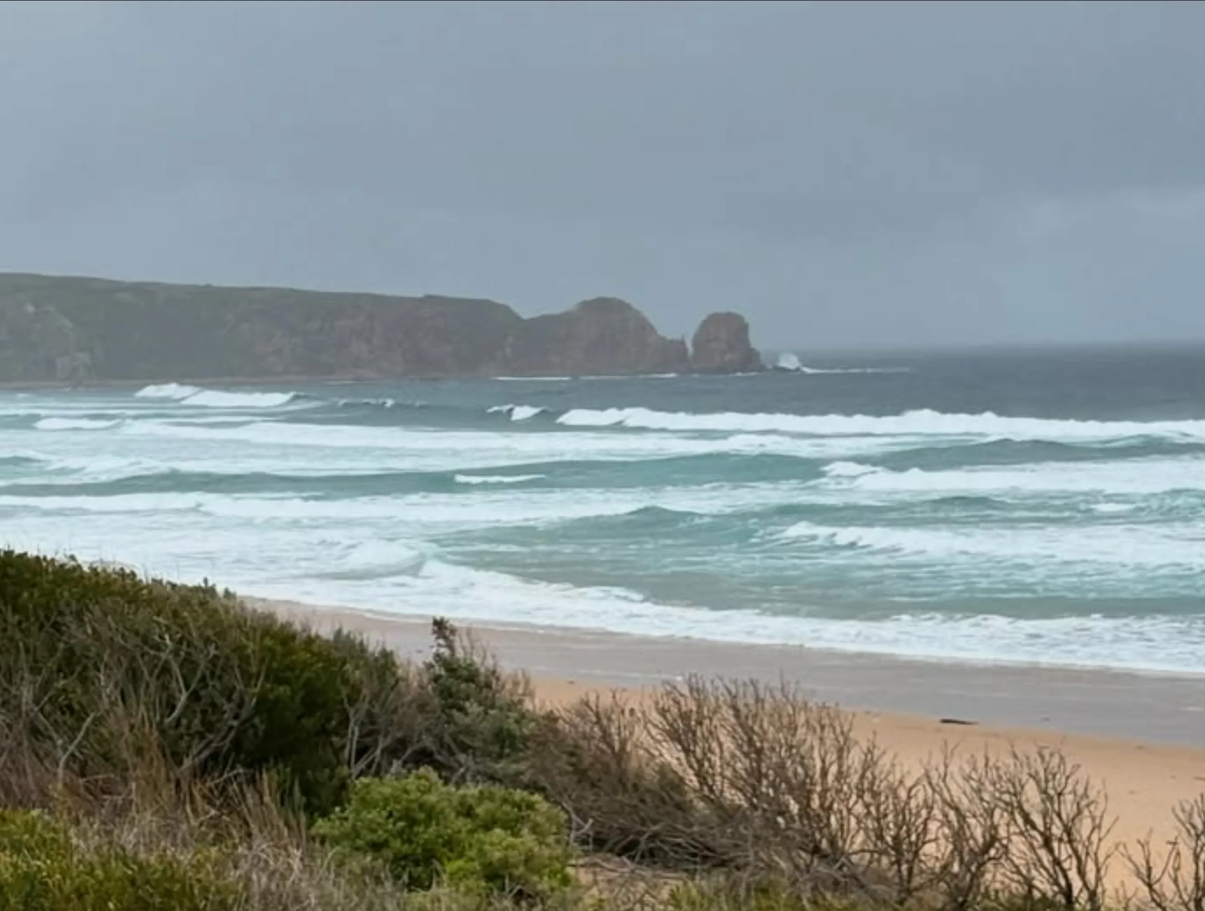 Phillip Island penguin viewing times