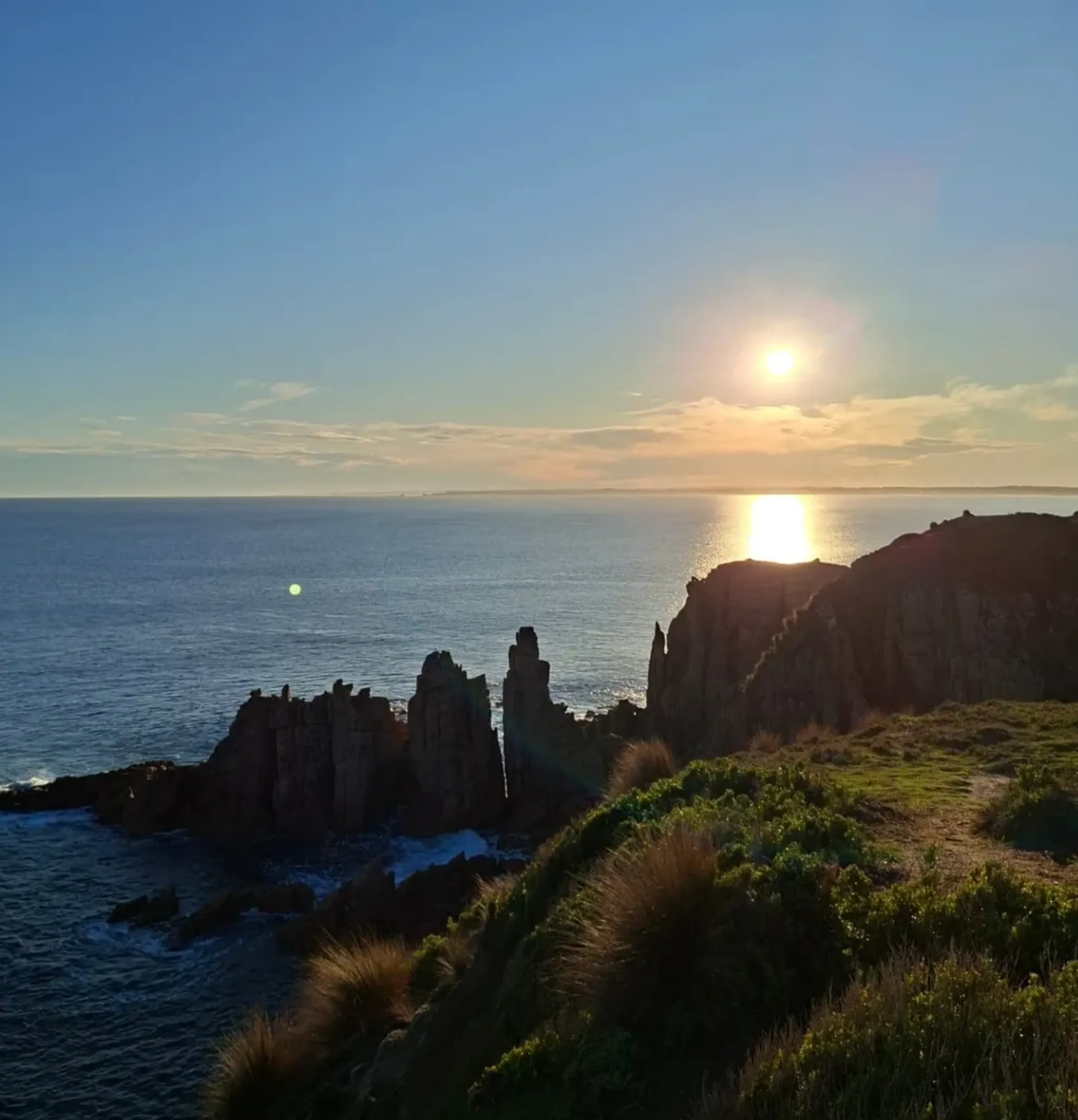 What month is best to see penguins on Phillip Island?